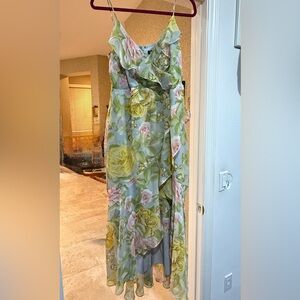 Express Floral Maxi Dress in Green and Pink